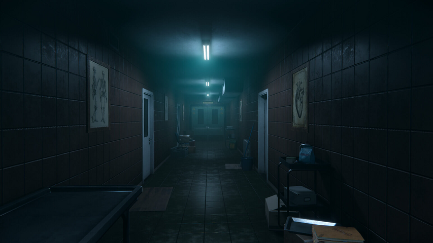 Autopsy Simulator Deluxe Edition – image 2