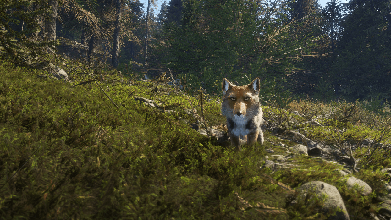 theHunter: Call of the Wild™ - Sundarpatan Nepal Hunting Reserve  for sale in Emirates from Games2all