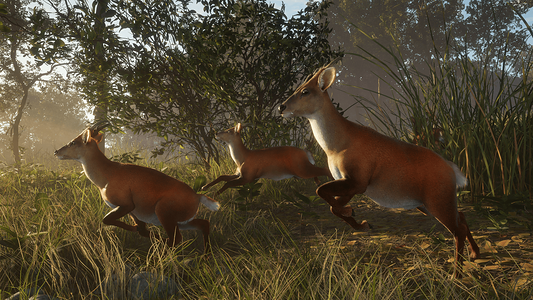 theHunter: Call of the Wild™ - Sundarpatan Nepal Hunting Reserve  for sale in Emirates from Games2all