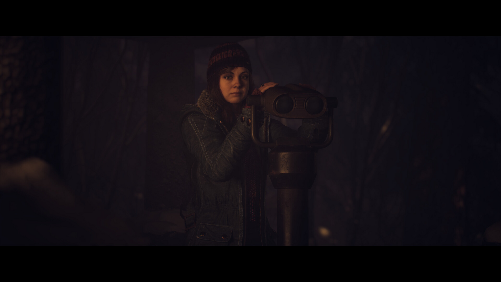 Until Dawn™ - Pre Order – image 7