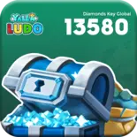 ____13580____