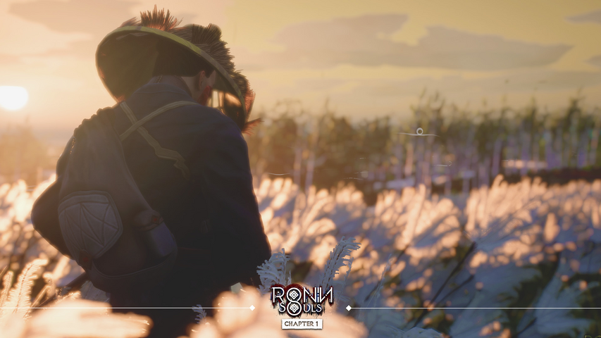 RONIN: Two Souls CHAPTER 1 – image 4