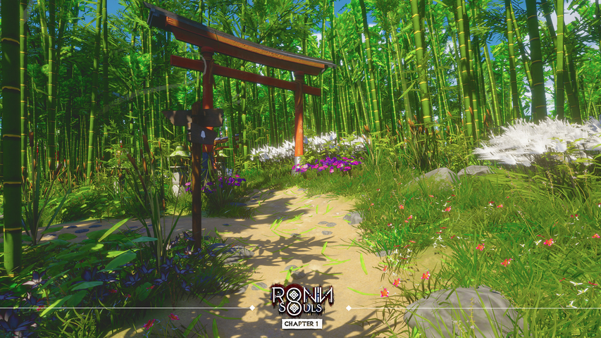RONIN: Two Souls CHAPTER 1 – image 11