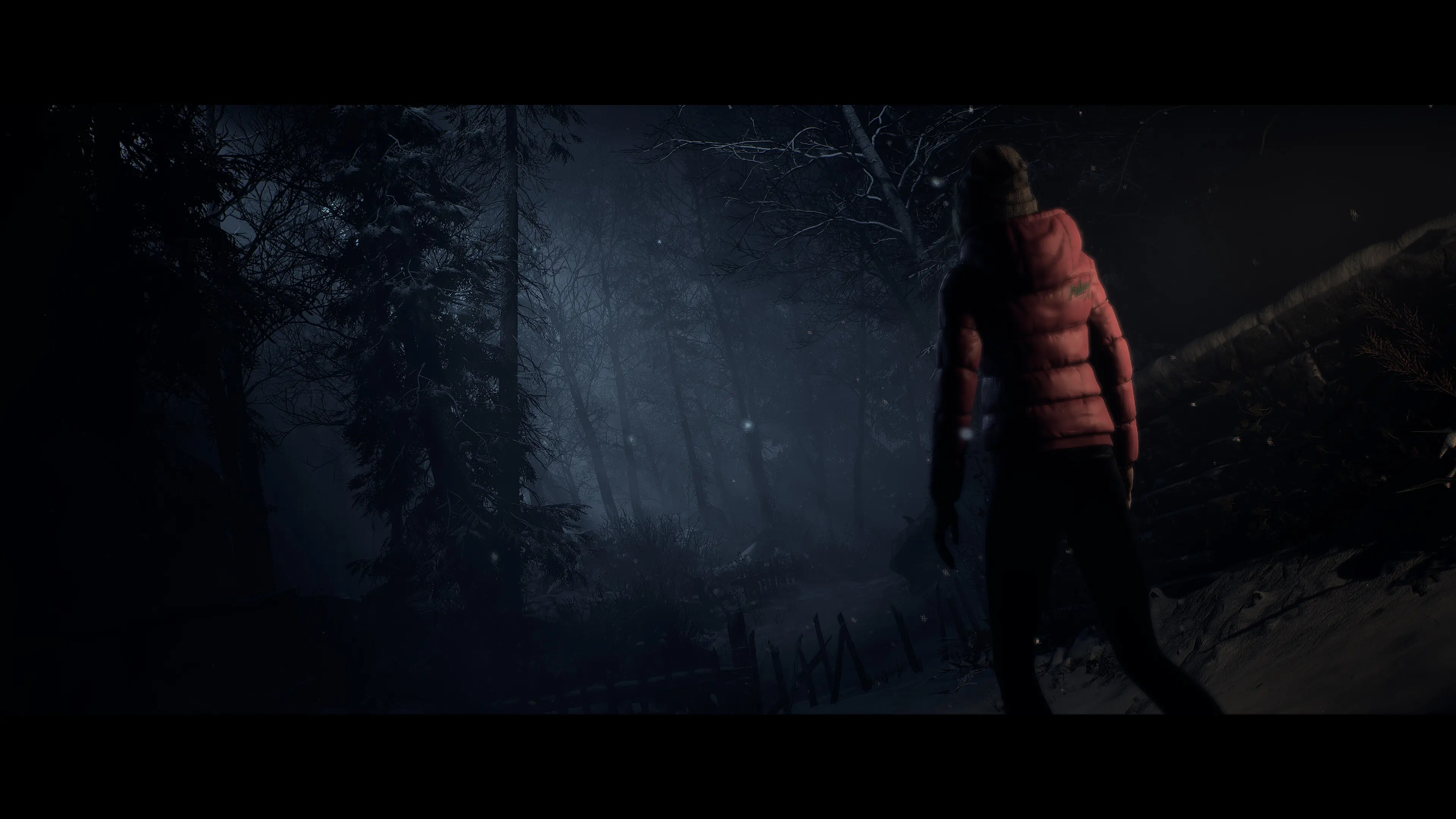 Until Dawn™  for sale in Emirates from Games2all