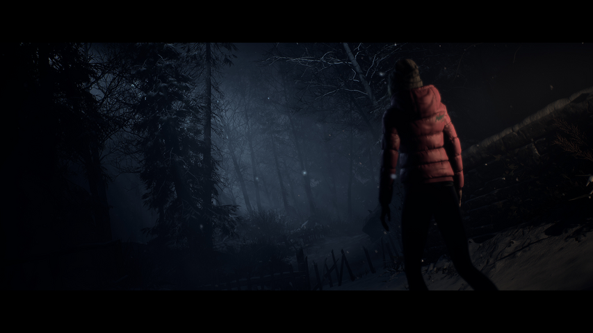 Until Dawn™ – image 4
