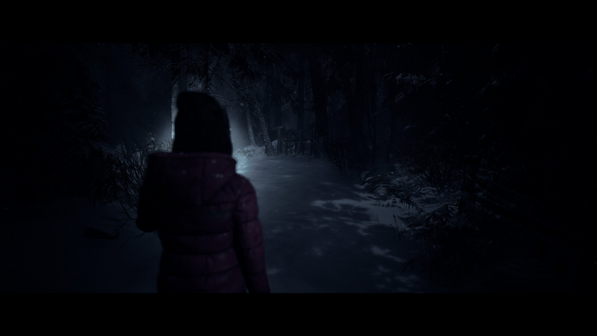 Until Dawn™ – image 7