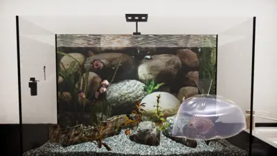 Aquatic Store Simulator  for sale in Emirates from Games2all