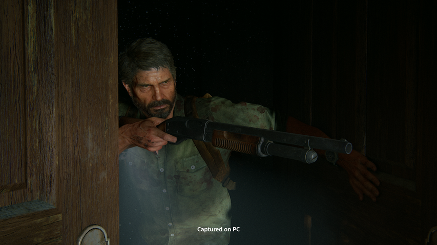 The Last of Us™ Part II Remastered – image 7