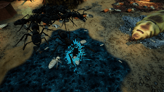 Empires of the Undergrowth - Exploding Ants  for sale in Emirates from Games2all