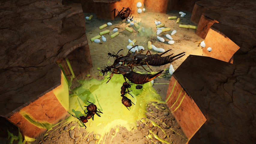 Empires of the Undergrowth - Exploding Ants – image 3