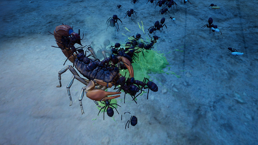 Empires of the Undergrowth - Exploding Ants – image 4