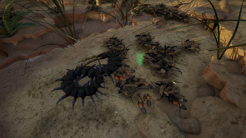 Empires of the Undergrowth - Exploding Ants – image 5