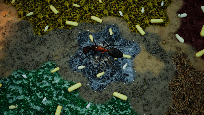 Empires of the Undergrowth - Exploding Ants – image 7