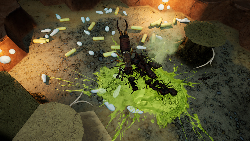 Empires of the Undergrowth - Exploding Ants – image 8