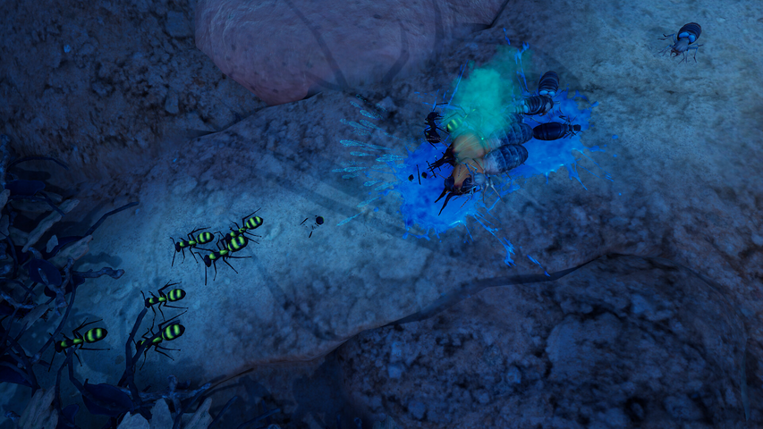Empires of the Undergrowth - Exploding Ants – image 9