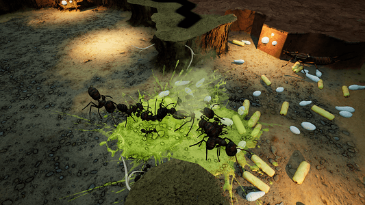 Empires of the Undergrowth - Exploding Ants  for sale in Emirates from Games2all