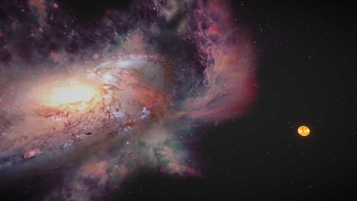 The Survivor  for sale in Emirates from Games2all