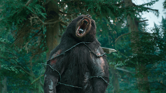 Days Gone - Broken Road DLC  for sale in Emirates from Games2all