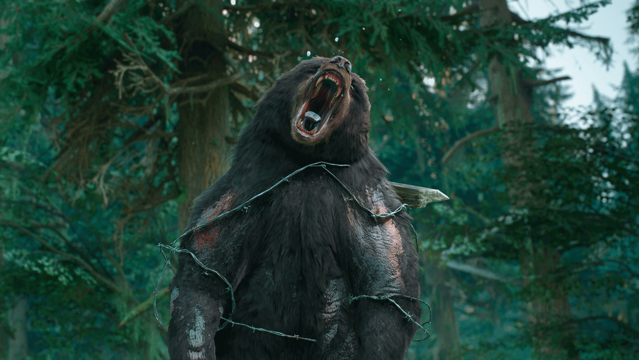 Days Gone - Broken Road DLC  for sale in Emirates from Games2all