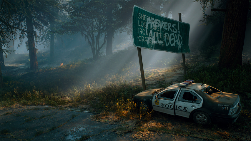 Days Gone - Broken Road DLC – صورة 9