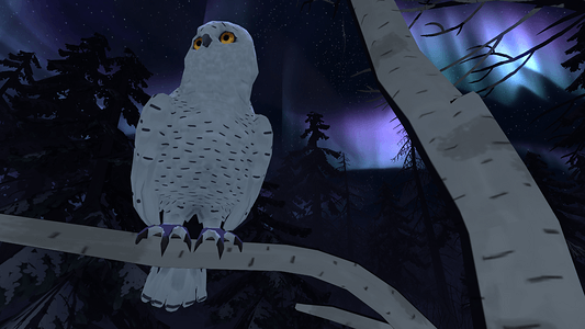 The Red Lantern  for sale in Emirates from Games2all