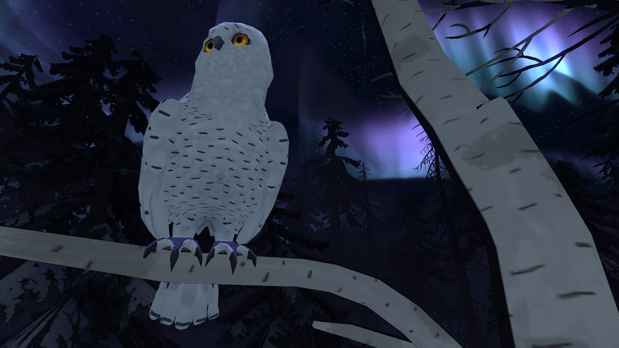 The Red Lantern  for sale in Emirates from Games2all