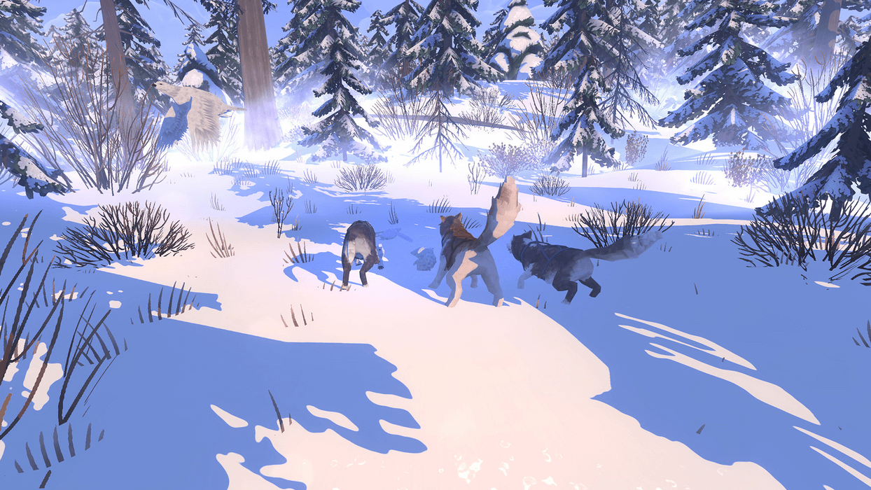 The Red Lantern  for sale in Emirates from Games2all