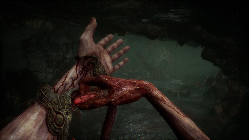 Scorn Deluxe Edition (Steam) – صورة 11