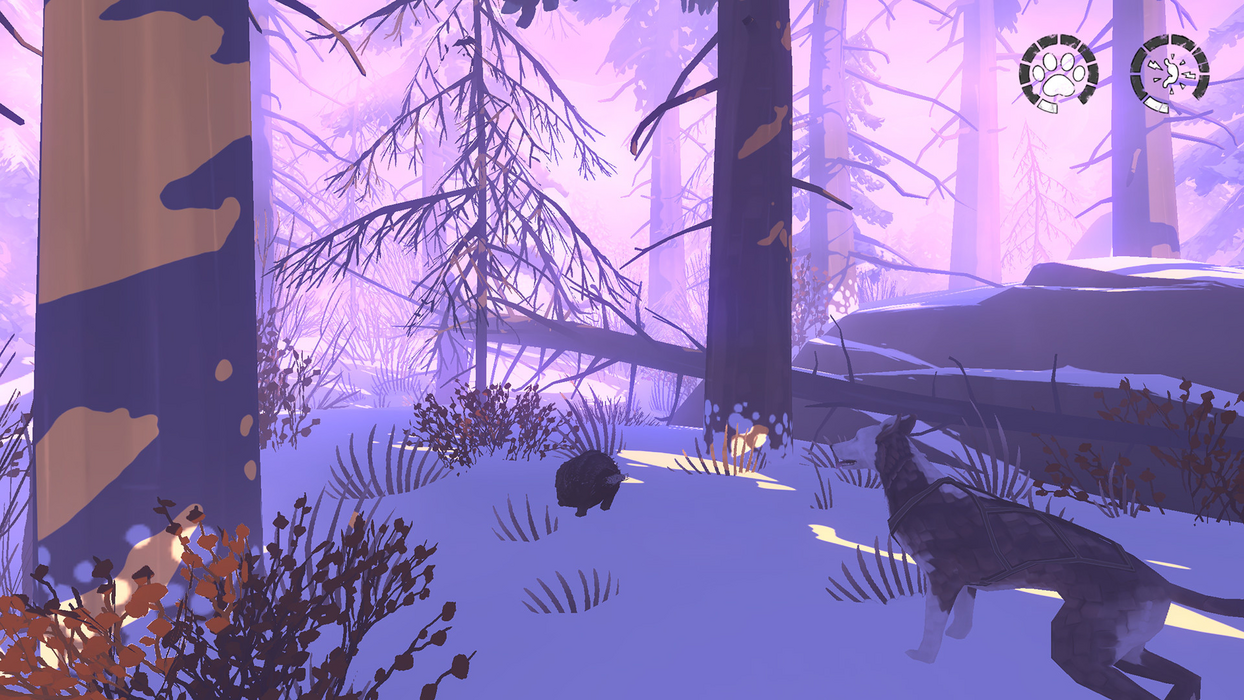 The Red Lantern  for sale in Emirates from Games2all