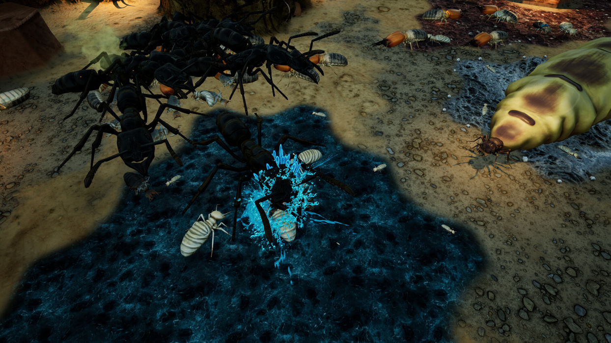 Empires of the Undergrowth - Exploding Ants  for sale in Emirates from Games2all