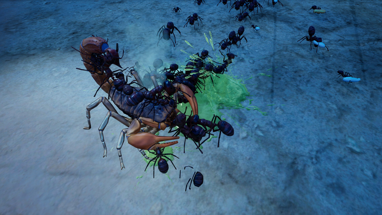 Empires of the Undergrowth - Exploding Ants  for sale in Emirates from Games2all
