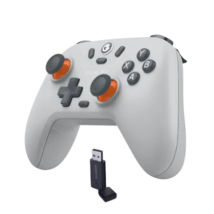 GameSir Nova Lite 2.4G Wireless Controller - Ash Gray 