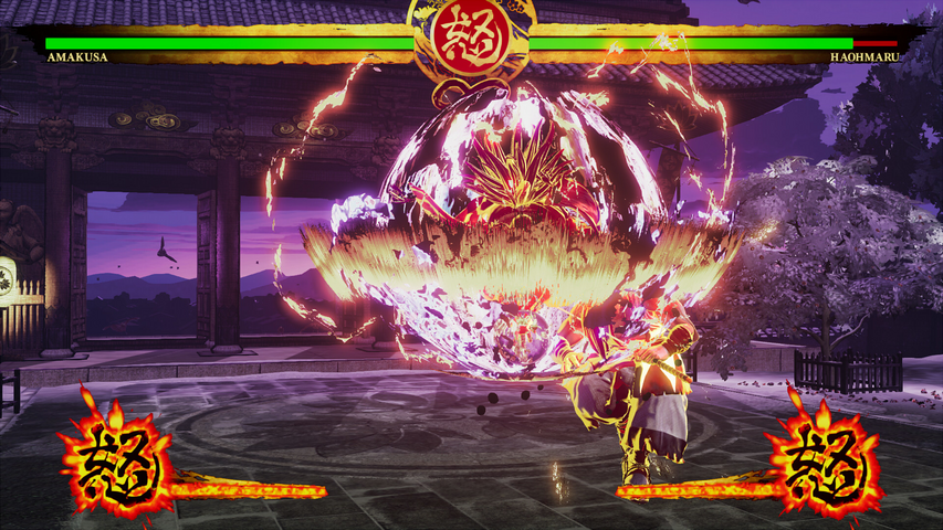SAMURAI SHODOWN - DLC CHARACTER "SHIRO TOKISADA AMAKUSA" – image 7