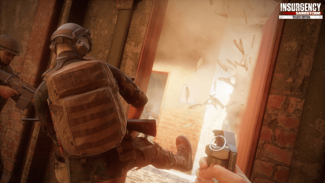 Insurgency: Sandstorm - Deluxe Edition  for sale in Emirates from Games2all