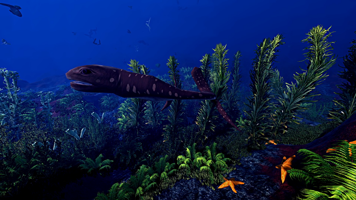 Ecosystem  for sale in Emirates from Games2all