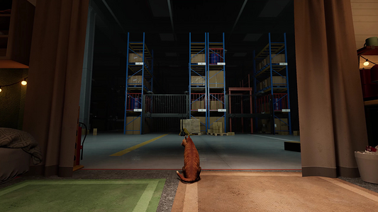 ORDER 13  for sale in Emirates from Games2all