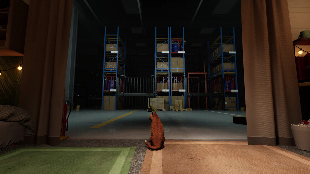 ORDER 13  for sale in Emirates from Games2all