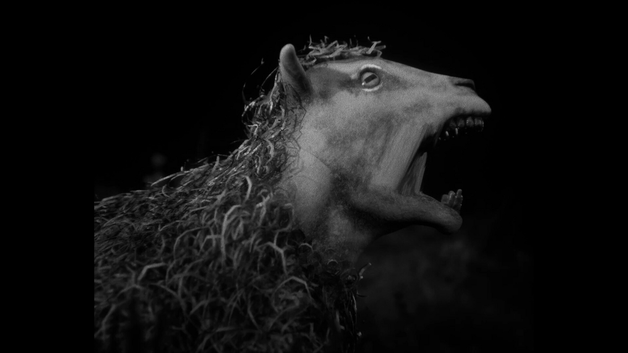 Daemonologie  for sale in Emirates from Games2all