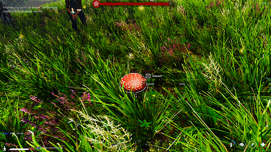 The Legacy  for sale in Emirates from Games2all