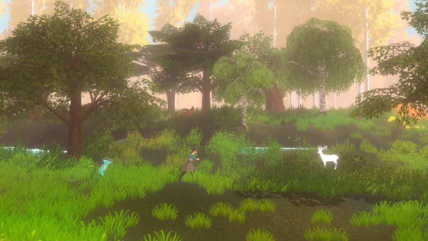 Forgotten Fields – image 14