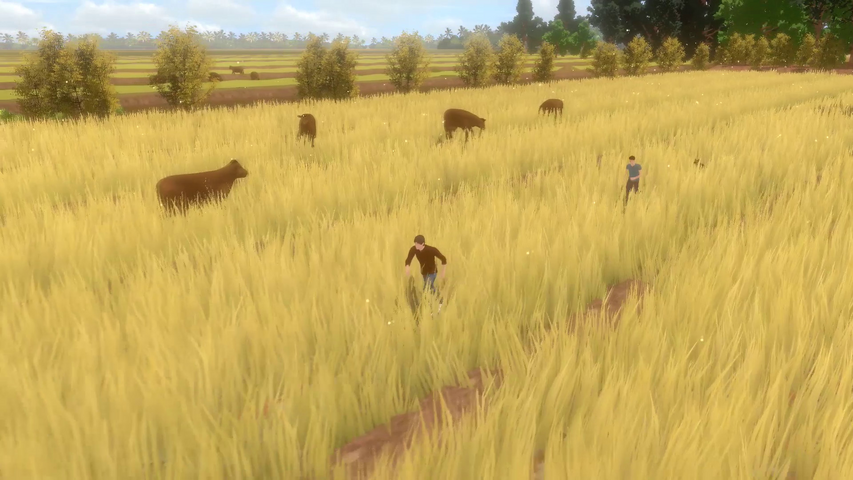 Forgotten Fields – image 17
