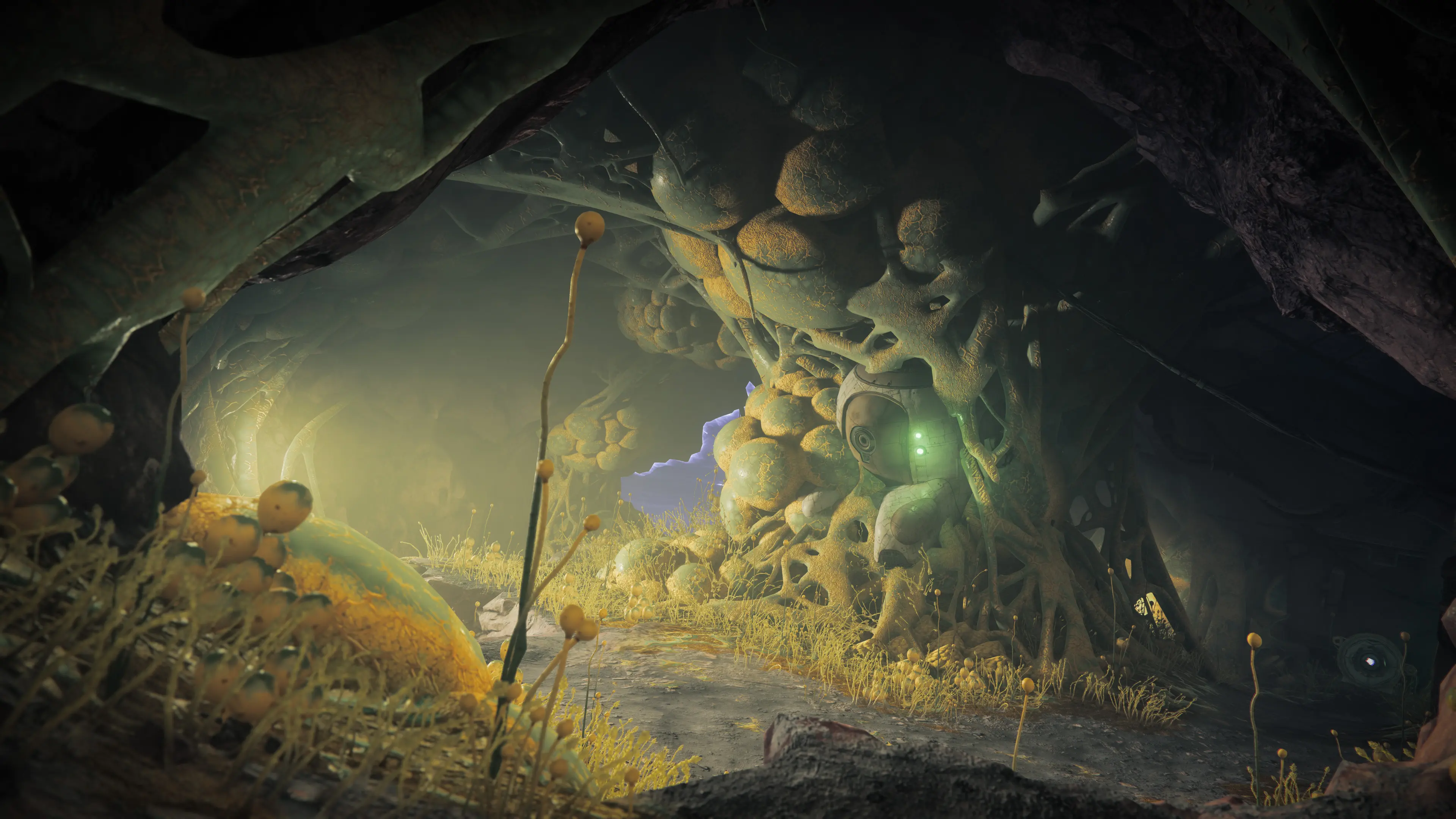 Destiny 2: The Edge of Fate  for sale in Emirates from Games2all