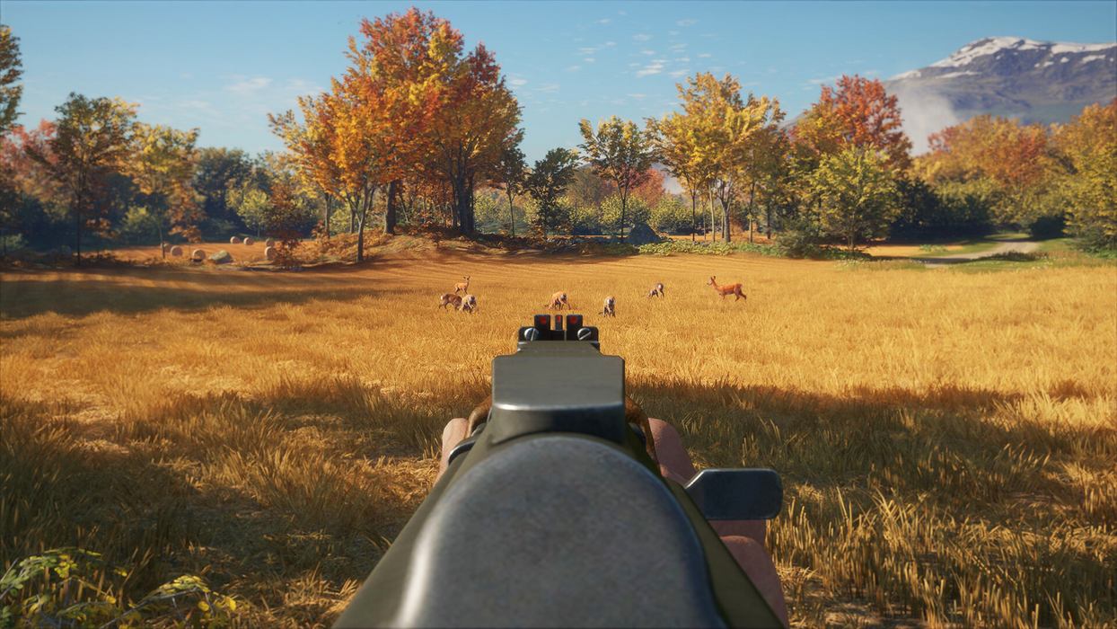 theHunter: Call of the Wild™ - Rapid Hunt Rifle Pack  for sale in Emirates from Games2all