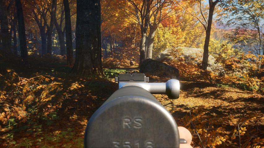 theHunter: Call of the Wild™ - Rapid Hunt Rifle Pack – image 5