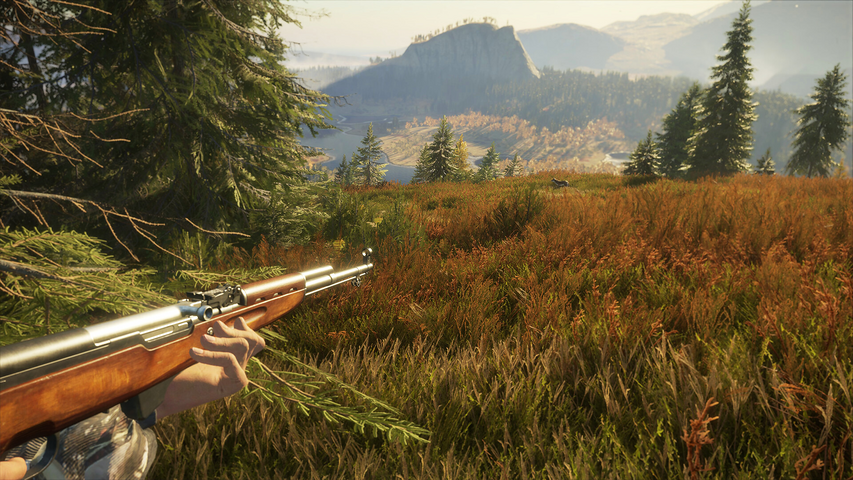 theHunter: Call of the Wild™ - Rapid Hunt Rifle Pack – image 6