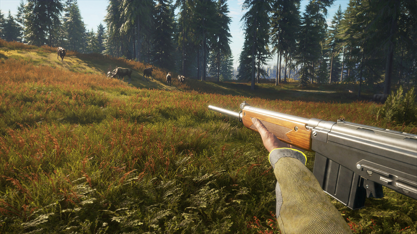 theHunter: Call of the Wild™ - Rapid Hunt Rifle Pack – image 7