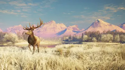 theHunter: Call of the Wild™ - Alberta Hunting Preserve  for sale in Emirates from Games2all