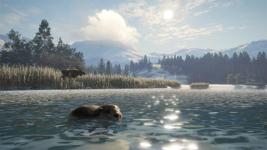 theHunter: Call of the Wild™ - Alberta Hunting Preserve – image 6
