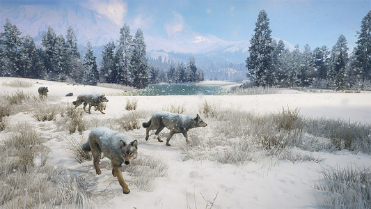 theHunter: Call of the Wild™ - Alberta Hunting Preserve  for sale in Emirates from Games2all