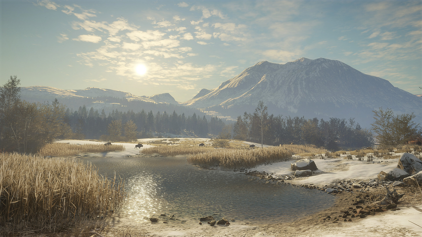 theHunter: Call of the Wild™ - Alberta Hunting Preserve – image 9